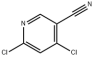 4,6-dichloropyridine-3-carbonitrile