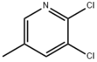 2,5-DICHLORO-3-METHYLPYRIDINE