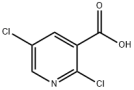 2,5-二氯烟酸
