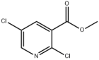 METHYL 2,5-DICHLORONICOTINATE
